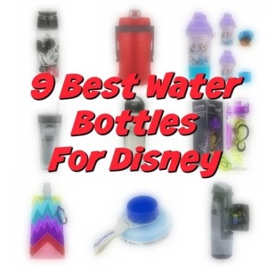 9 Best Water Bottles For Walt Disney World To Beat the Heat