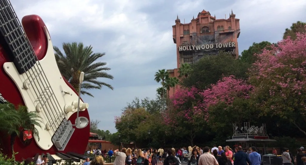Pink flowering tabebuia tree in front of rock n roller coaster at Walt Disney World in Orlando Florida