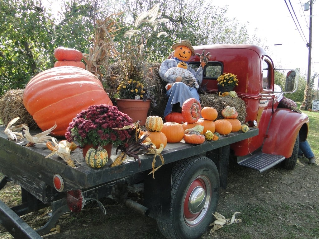 old red truck with scarecrow and pumpkins in back 