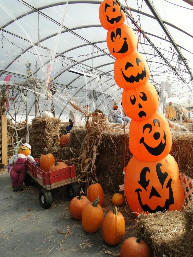 pumpkin blow up yard decoration in front of hay bale maze with red wagon full of orange pumpkins