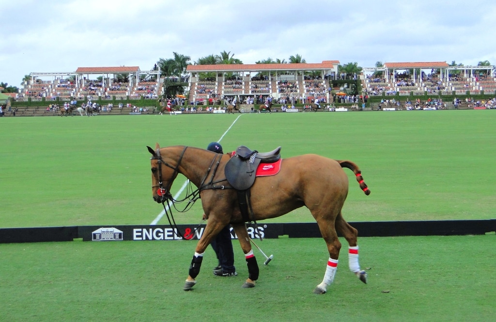 International Polo Club Palm Beach Florida Match