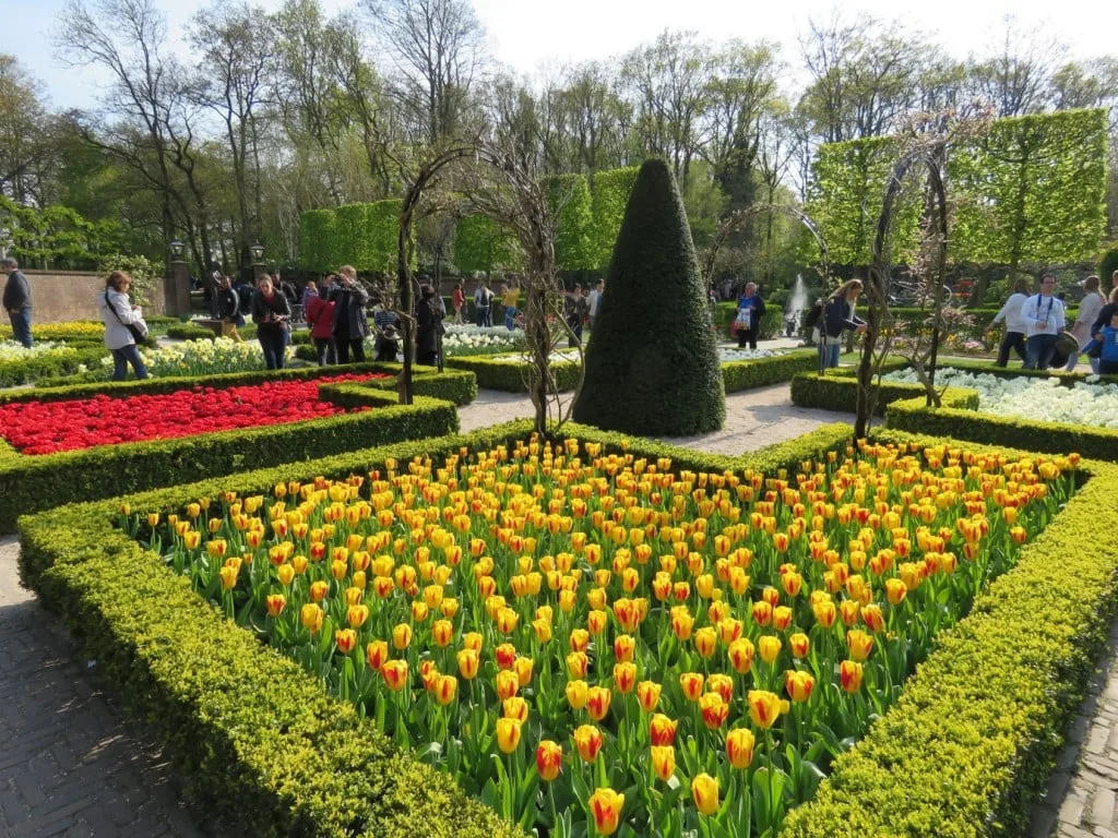 Keukenhof Gardens Amsterdam Netherlands Tulips Manicured Tulip Fields