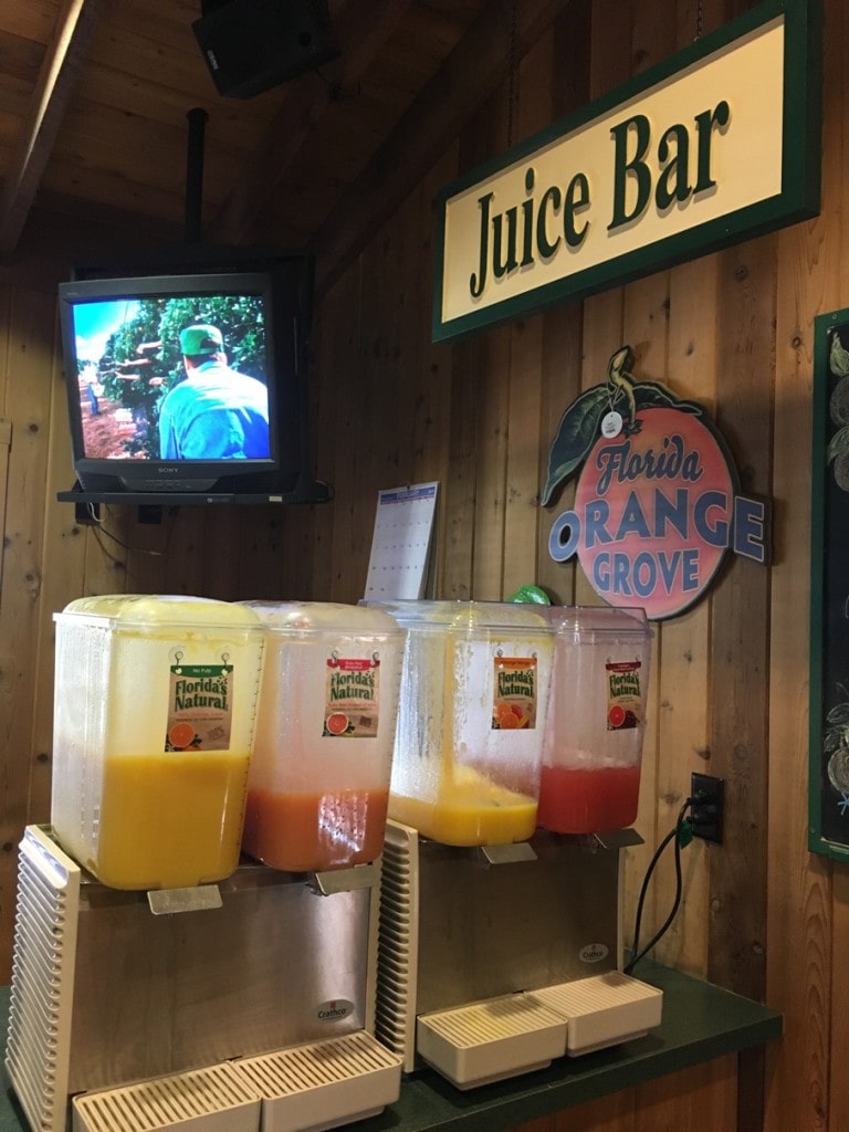 Free Samples of Orange Juice Florida's Natural Visitor Center Grove House