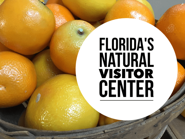 Florida's Natural Grove House Visitor Center in Lakeland