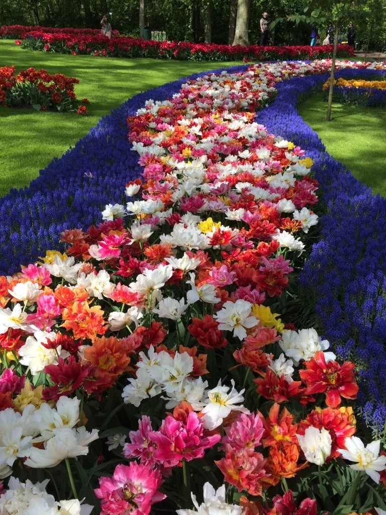 Keukenhof Gardens Amsterdam Netherlands Tulips Less Crowded Tulip Fields