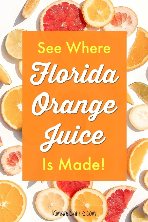 From tree to glass, this is how orange juice is made. Visit the place where your orange juice could be processed in the Sunshine State of Florida. #travel #orange #citrus #farmtotable #florida #travel