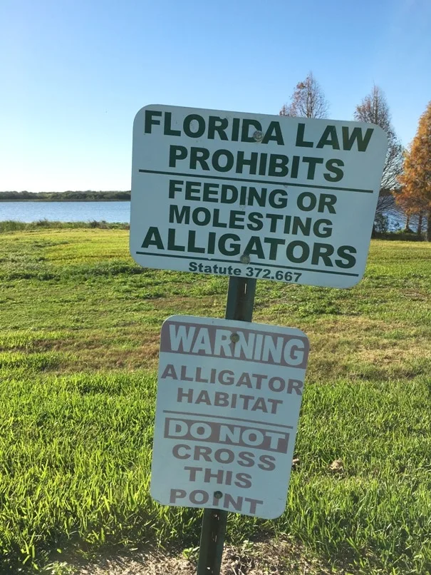 How to Protect Yourself from an Alligator Attack in Florida