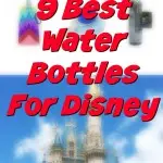 9 Best Water Bottles For Walt Disney World To Beat the Heat