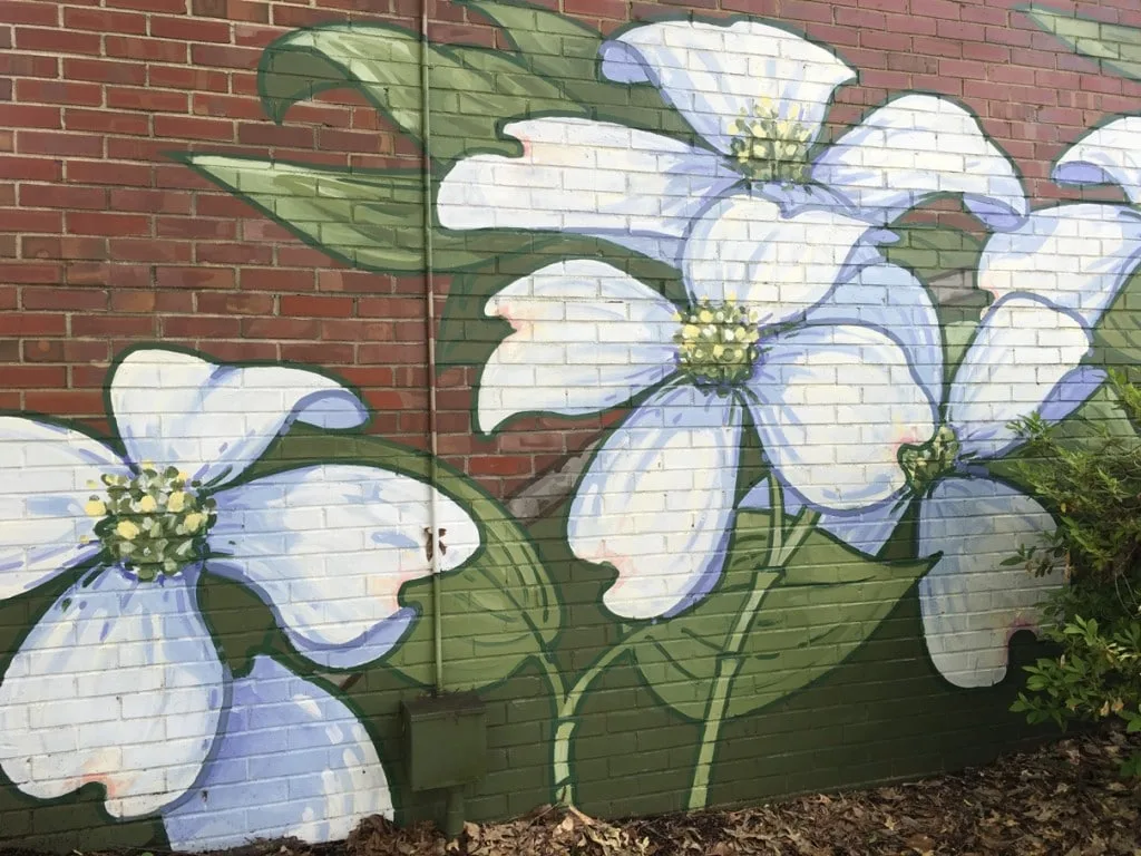 3 Day Weekend in Chapel Hill, NC. Be sure to visit the 36 murals downtown.