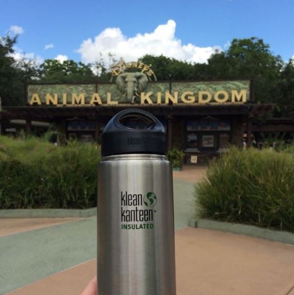 Klean Kanteen Water Bottle: 9 Best Water Bottles for Disney