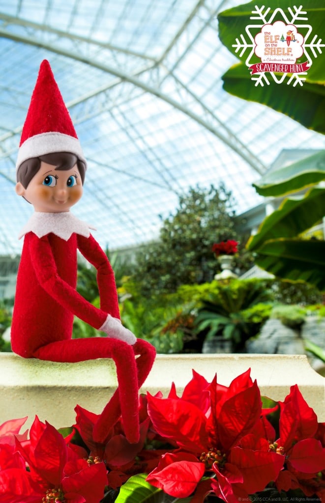 2016 ICE! will feature a Peanuts theme. Just one unique event as part of the Christmas at Gaylord Palms Celebration held November 18, 2016 - January 1, 2017