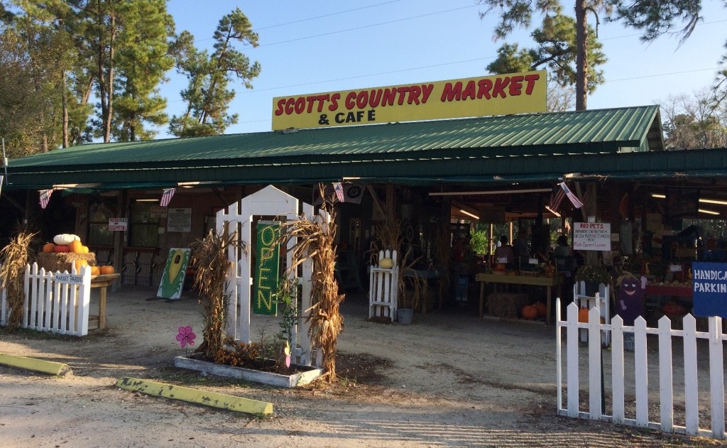 Long & Scott Farms is a fun place for the entire family in central Florida. Hop onboard a wagon train, shop the large farmer's market farm stand, and pick up some Zellwood Sweet Corn, the only place that it's grown in the world.