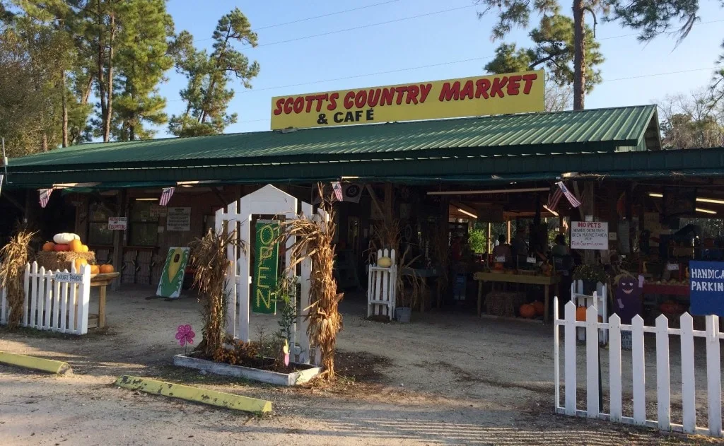 Long & Scott Farms is a fun place for the entire family in central Florida. Hop onboard a wagon train, shop the large farmer's market farm stand, and pick up some Zellwood Sweet Corn, the only place that it's grown in the world.