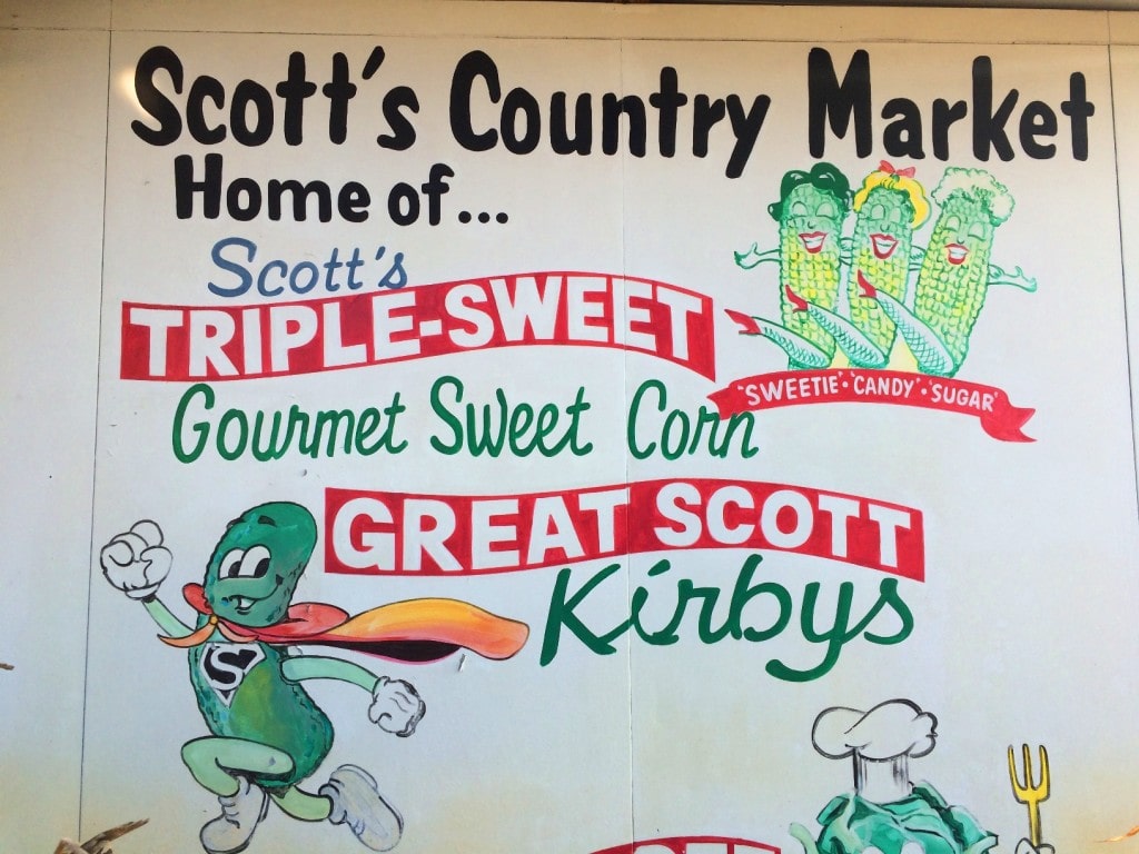 Long & Scott Farms is a fun place for the entire family in central Florida. Hop onboard a wagon train, shop the large farmer's market farm stand, and pick up some Zellwood Sweet Corn, the only place that it's grown in the world.