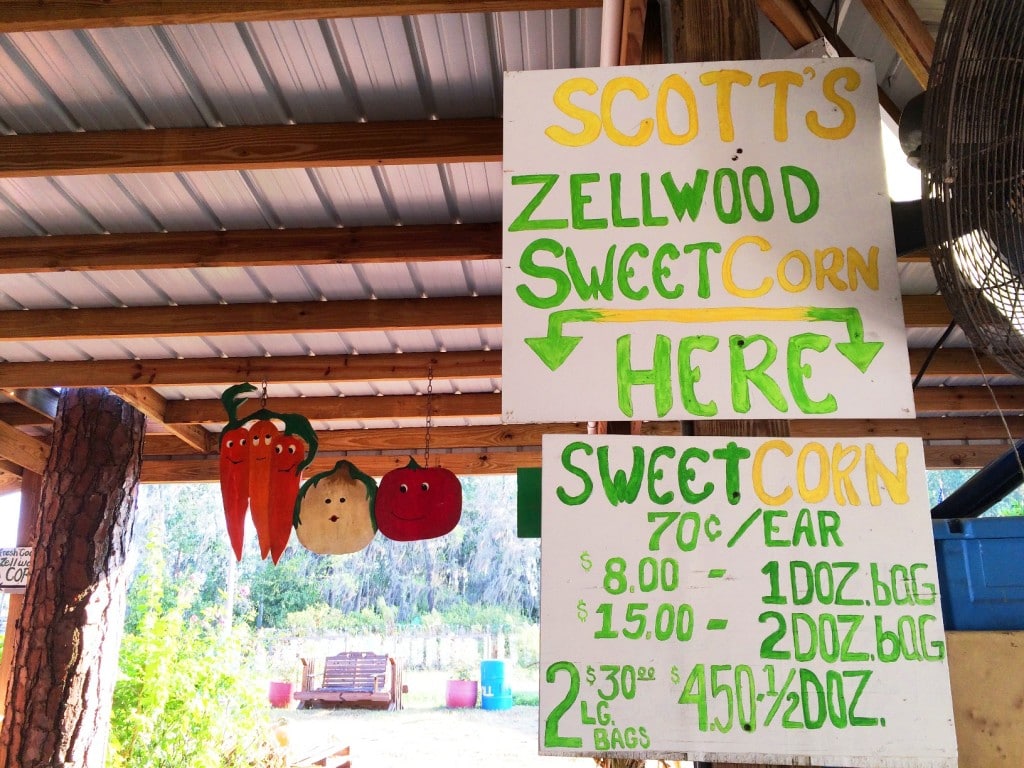 Long & Scott Farms is a fun place for the entire family in central Florida. Hop onboard a wagon train, shop the large farmer's market farm stand, and pick up some Zellwood Sweet Corn, the only place that it's grown in the world.