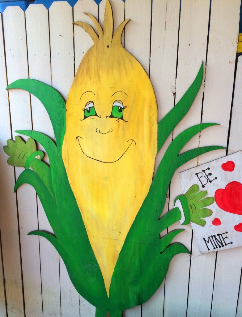 Long & Scott Farms is a fun place for the entire family in central Florida. Hop onboard a wagon train, shop the large farmer's market farm stand, and pick up some Zellwood Sweet Corn, the only place that it's grown in the world.