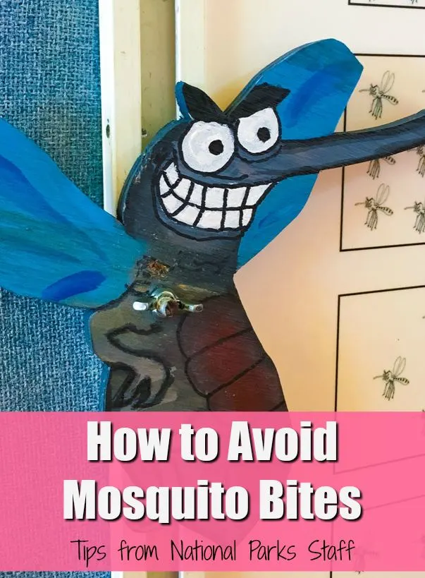 Everglades National Park has one of the worst mosquito populations. Tips on how to avoid bug bites from the National Park Staff that lives in Florida. Smart ways to stop mosquitoes from biting you