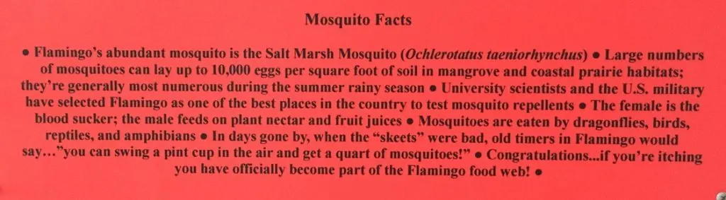 Mosquito facts from one of the world's biggest mosquito concentrations. Flamingo, Florida in Everglades National Park.