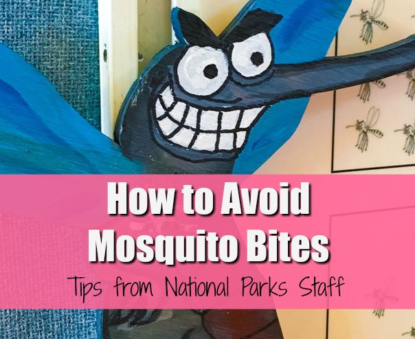 How to Avoid Mosquito Bites: Tips from Everglades National Park staff -  Wanderful World of Travel