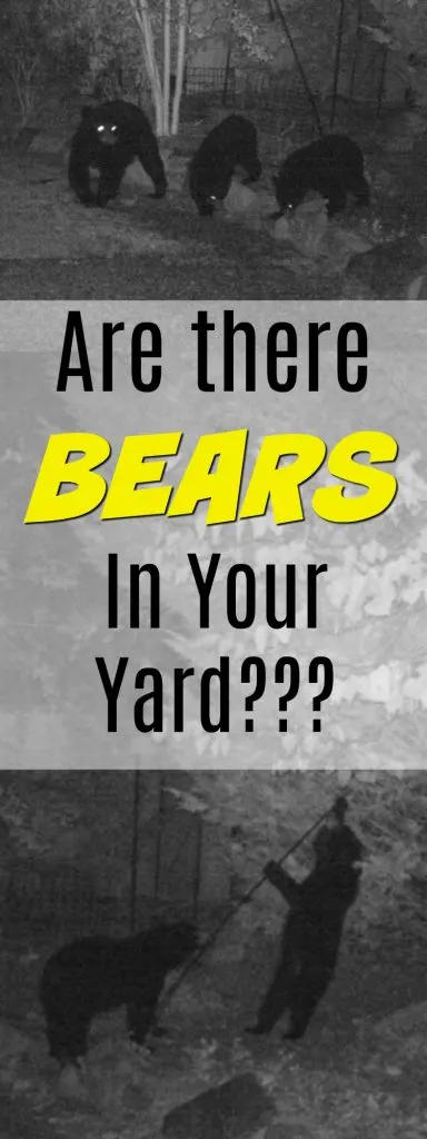 Bears in your backyard? Seen them - or just wondering? Here's how to tell if you have bears in your yard. Tips on how to protect yourself from bears at home, too.