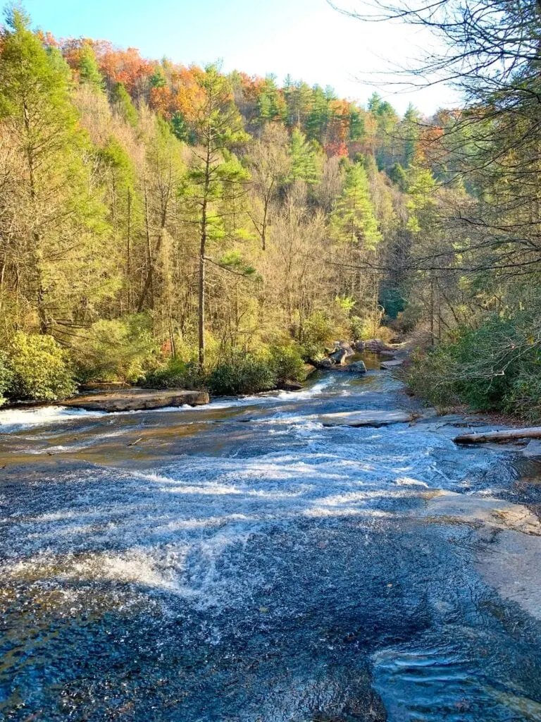 grassy creek falls Dupont state forest waterfall