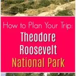 buffalo and landscapes of Theodore Roosevelt National Park