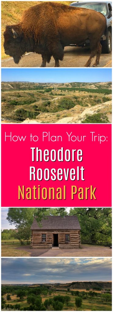 buffalo and landscapes of Theodore Roosevelt National Park