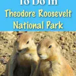 two prairie dogs sitting close together pinnable image