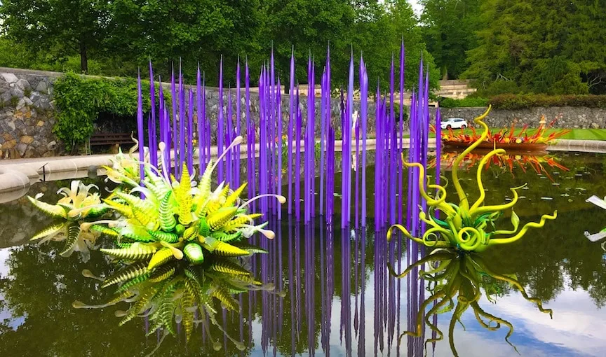 purple glass reeds in a pond surrounded by green Chihuly glass at Biltmore
