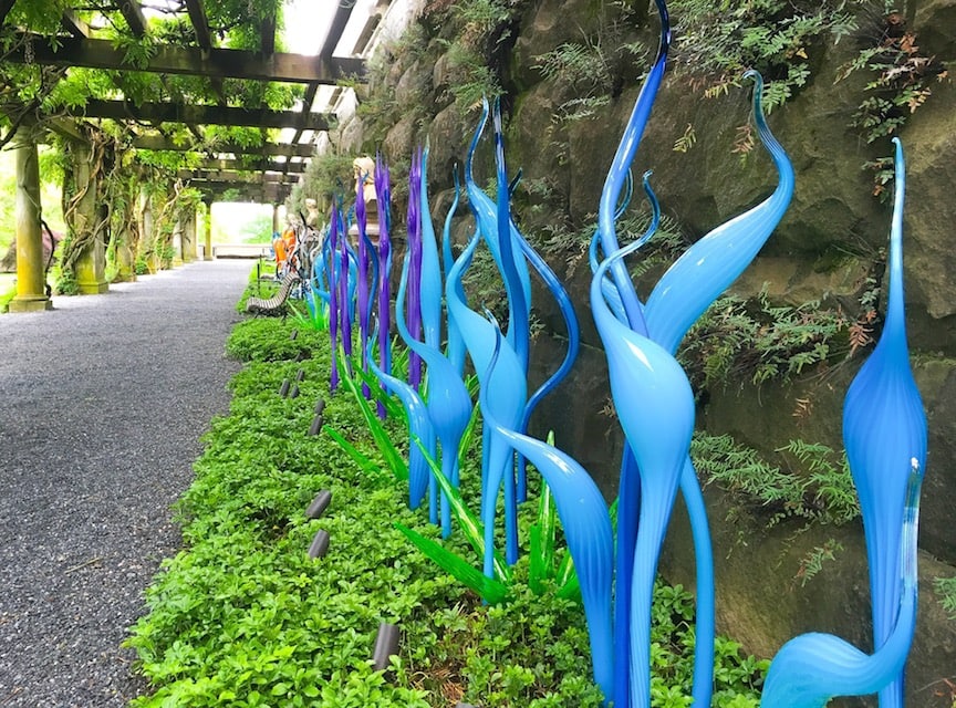 blue Chihuly art glass sculptures at Biltmore