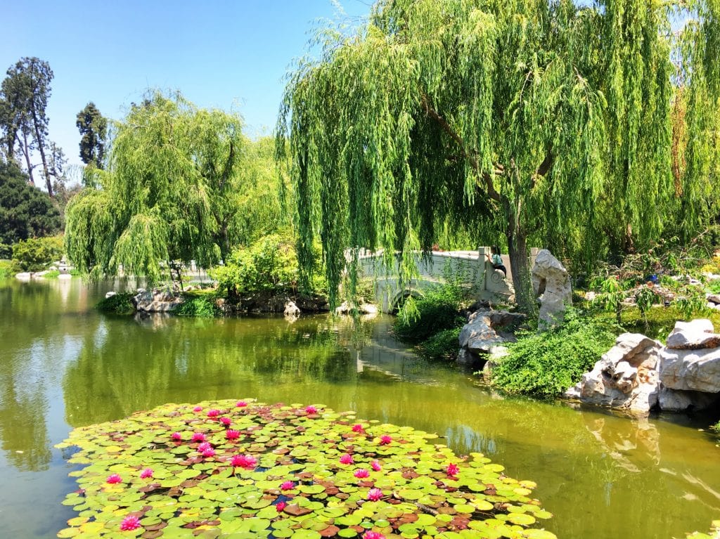 China Garden Huntington Gardens Pasadena California