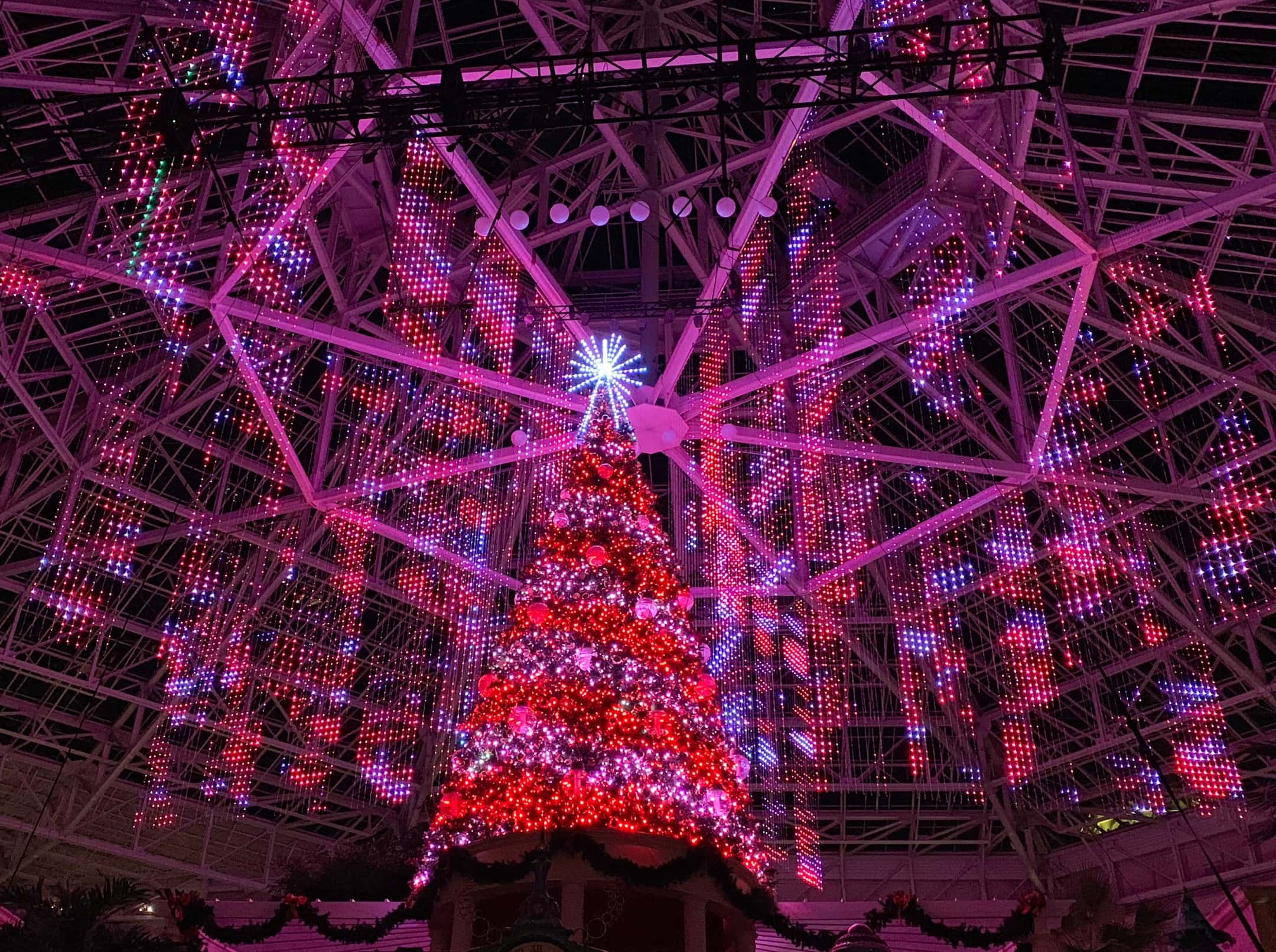 dreams of Christmas showChristmas Tree in Gaylord Palms Lobby Orlando
