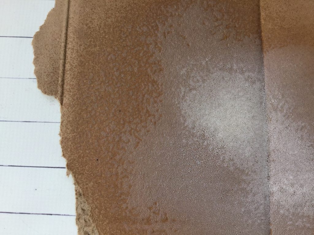 brown cardboard sprayed with non stick cooking spray against white background