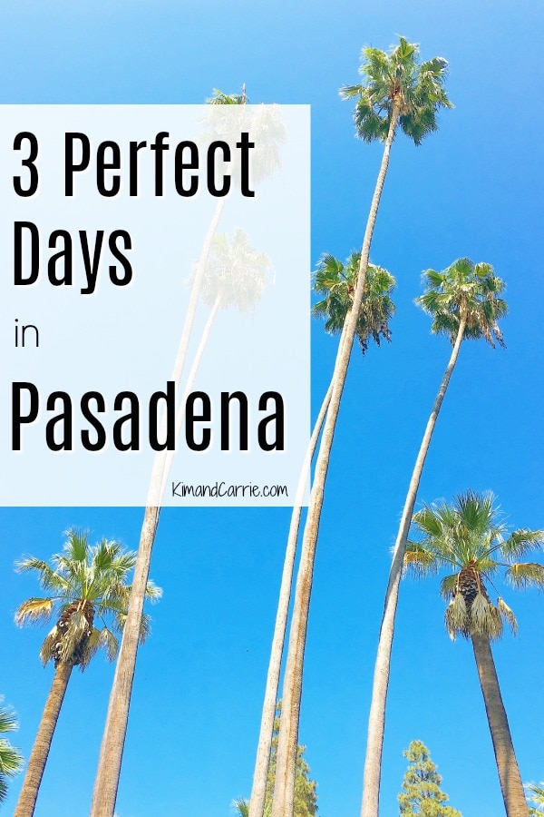 Palm Trees Pasadena California