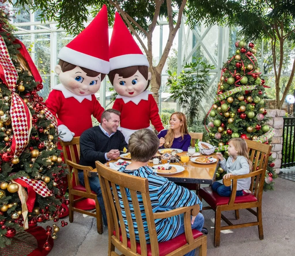 elf on the shelf characters at breakfast at gaylord palms in Orlando