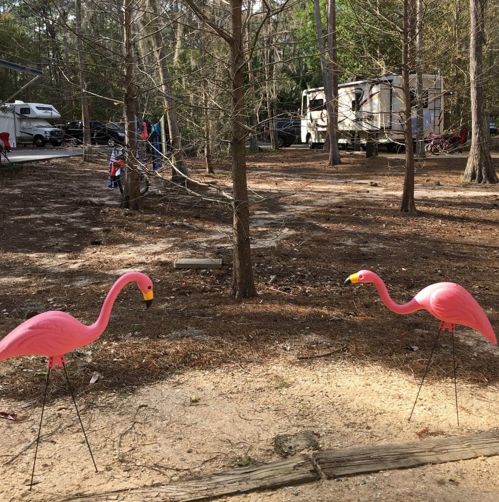 pink flamingos RV campsite in woods