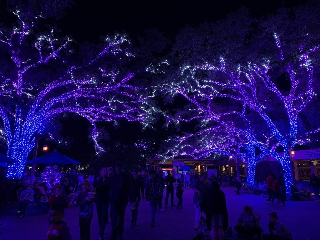 Blue Christmas Lights Busch Gardens Christmas Town Tampa Bay