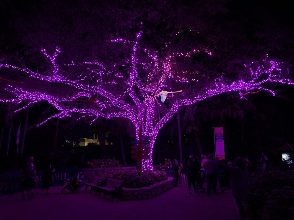 Busch Gardens Christmas Town Pink Flamingo Tampa Bay
