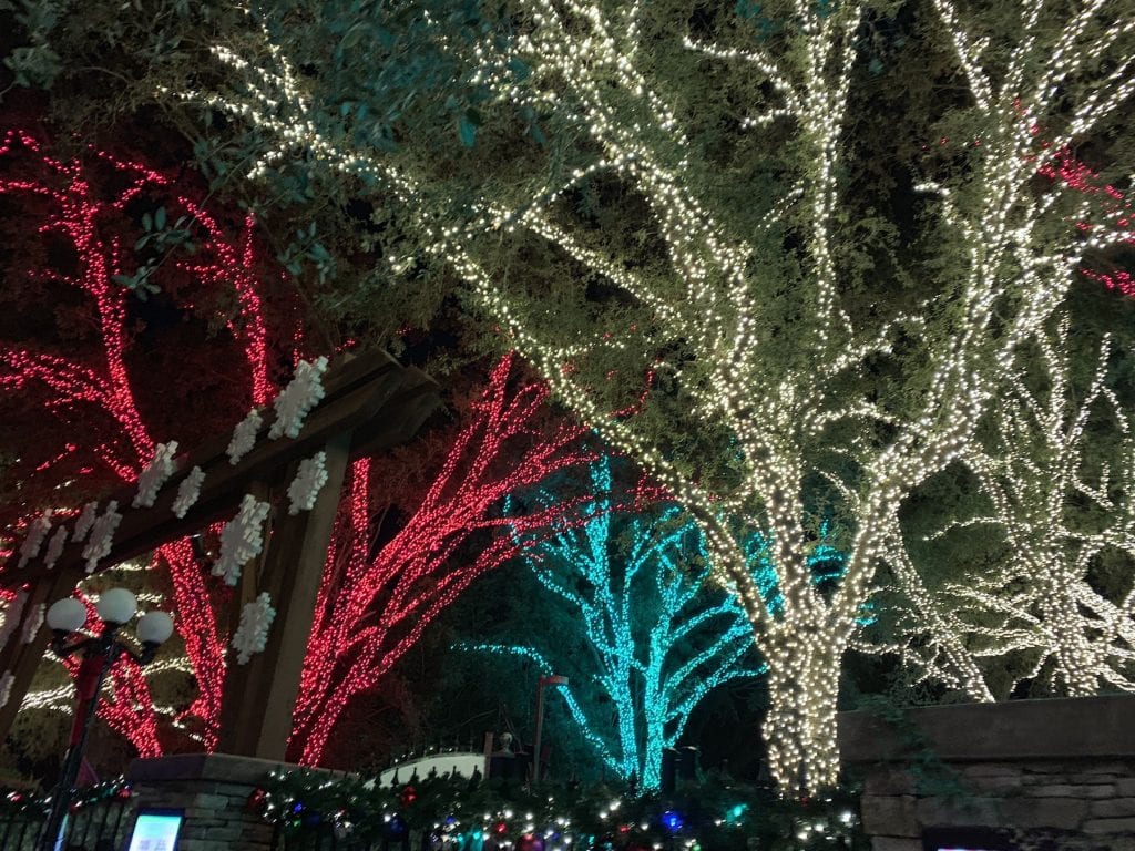 Red white and blue Christmas lights in trees at Busch Gardens Tampa Bay