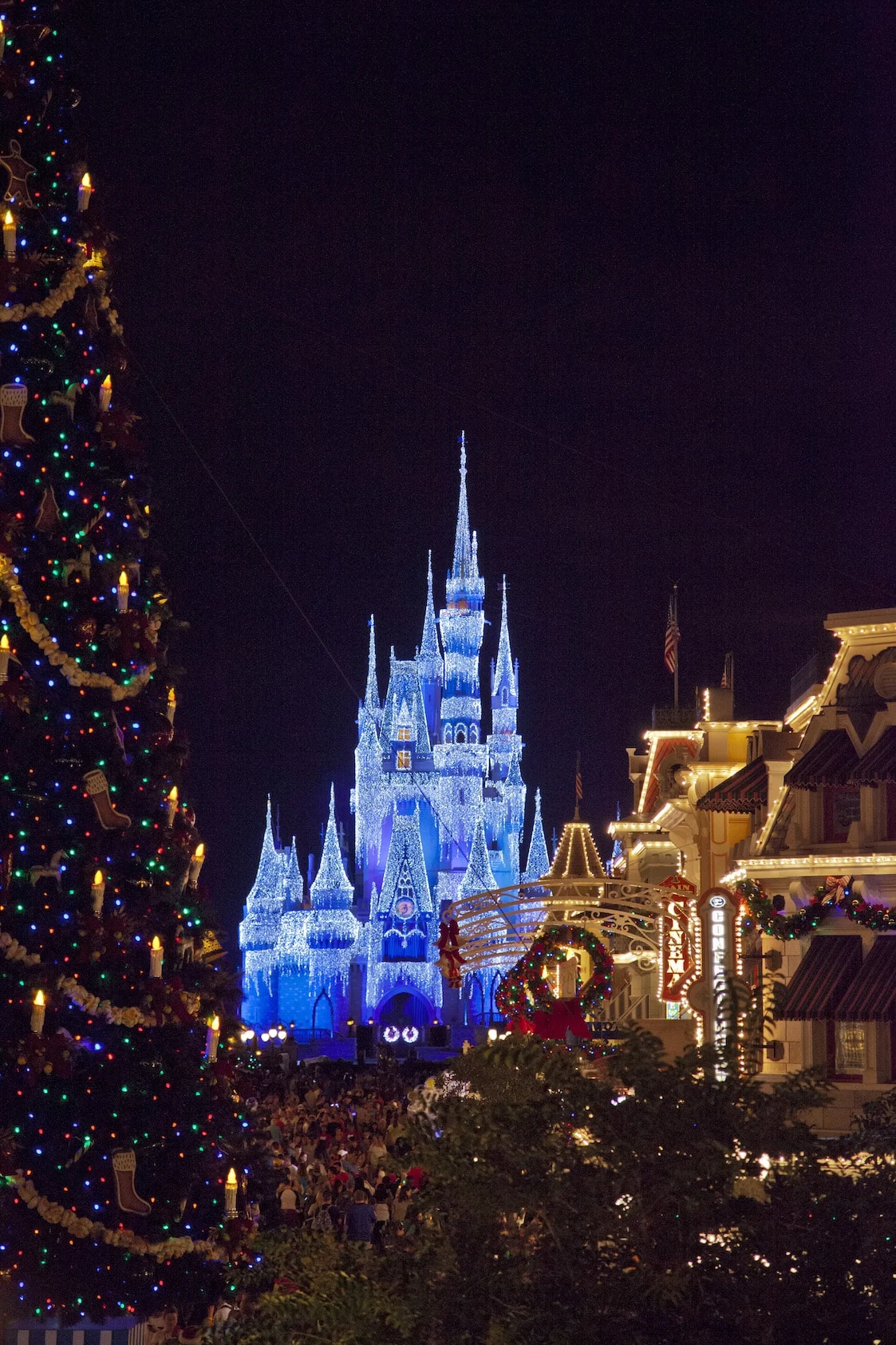 Cinderella Castle with Main Street USA and Christmas Tree Magic Kingdom at Night