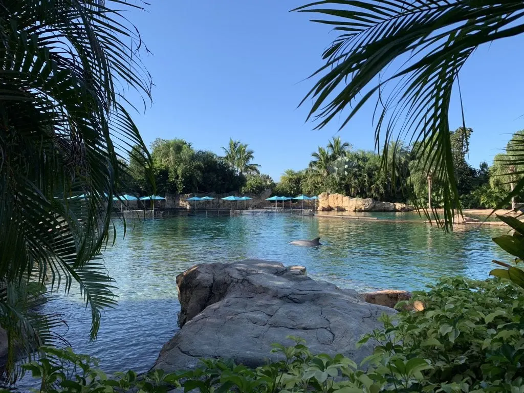 view of dolphin lagoon private cabana discovery cove