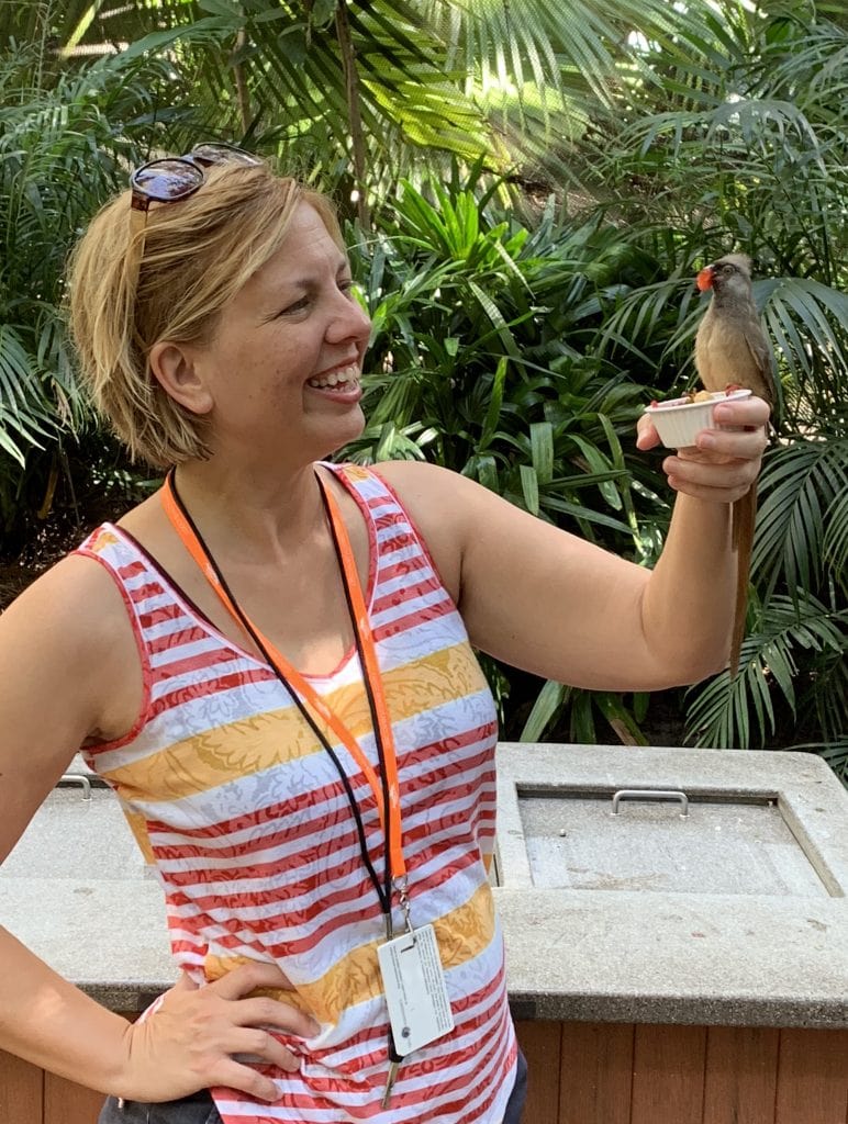 bird perched on woman's hand eating strawberries out of a cup Discovery Cove