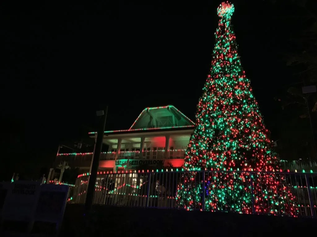 christmas tree in red and green lights at Busch Gardens Tampa