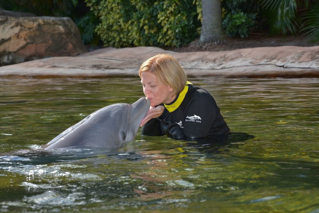 Kim kissing dolphin discovery cove orlando florida