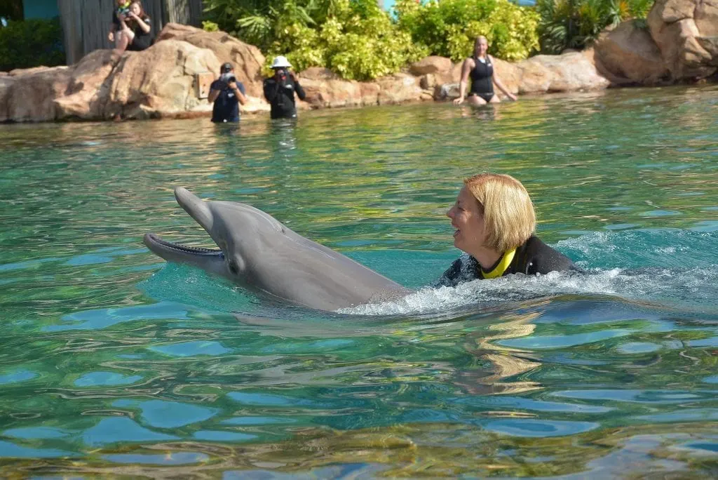 Kim Swimming with Dolphin Discovery Cove 