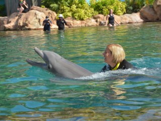 Kim Swimming with Dolphin Discovery Cove