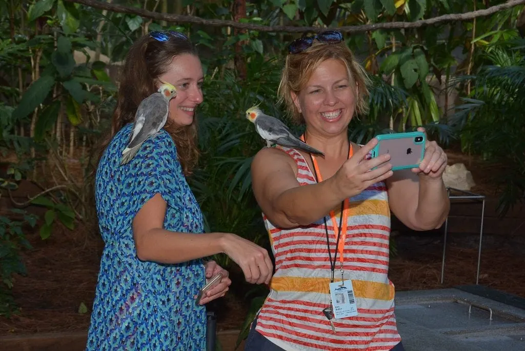 women with birds on their shoulder taking a selfie photograph at Discover Cove Orlando