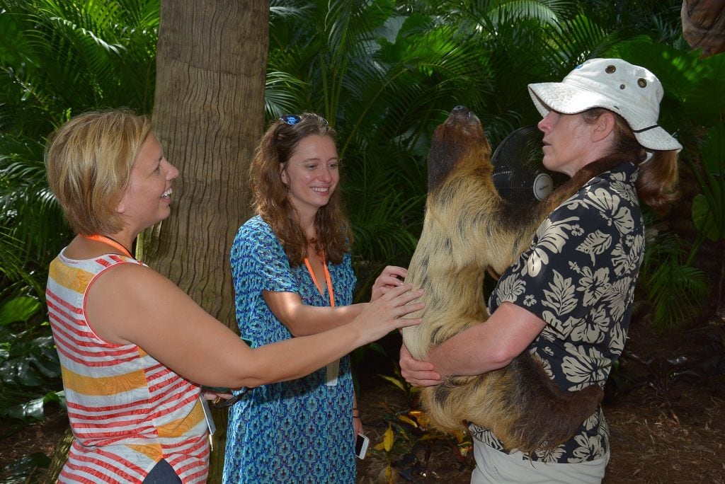 women learning about sloth at Discovery Cove Orlando Florida