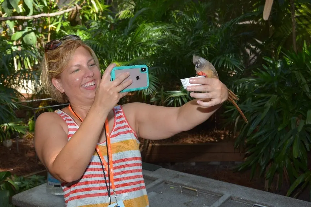 woman taking a picture of a bird eating from her hand in aviary at Discovery Cove in Orlando