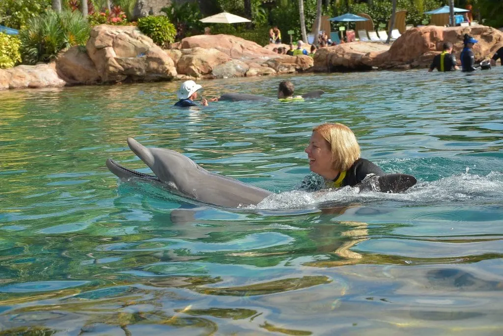 Kim Swimming with Dolphin Discovery Cove Orlando Florida